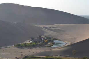 沙漠中的绿洲景观