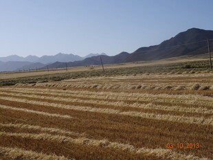 广袤田野与远山风景