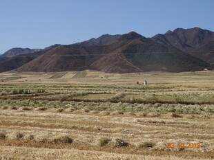广袤荒凉的山地平原景观