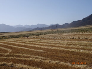 广袤田野与远处山峦景观