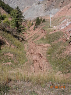 山坡上的植被与裸露土地