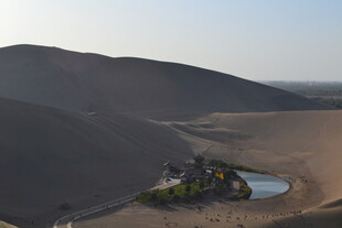 沙漠中的绿洲景观
