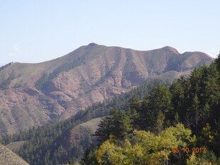 壮丽山景与葱郁植被