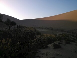 黄昏下的沙漠与植被景观