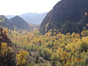 秋日山谷斑斓树林美景