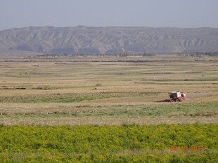 草原上的车辆与广袤绿野