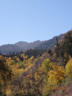 秋日山林斑斓美景