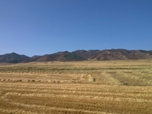 广袤田野与远处山峦景色