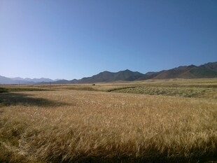 广袤田野与远处山峦
