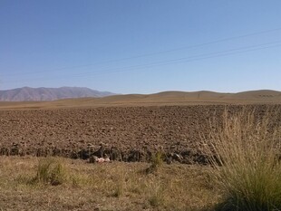 广袤田野与远山蓝天