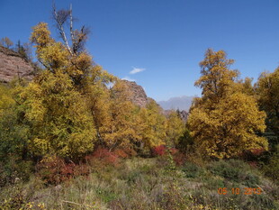 秋日山间斑斓景致