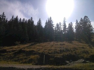 阳光照耀下的山林美景