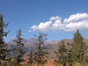 山间蓝天绿树美景