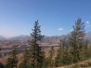 山间松林 壮阔自然景致