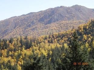 秋日山林美景图