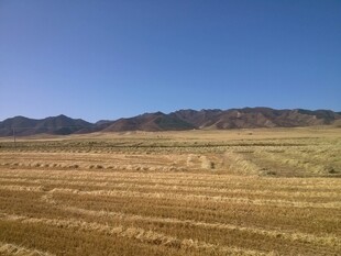 广袤田野与远山蓝天