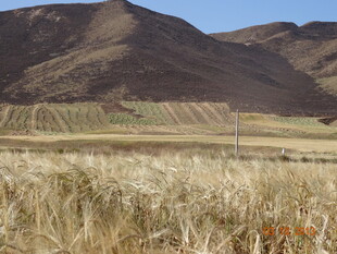 广袤田野与远处山峦