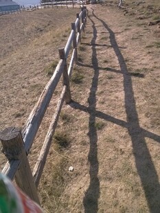 田野中的木质围栏