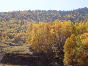 秋日山林绚丽风光