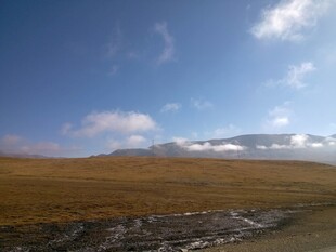 广袤草原与远处雪山景观