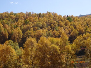 秋日山林斑斓美景