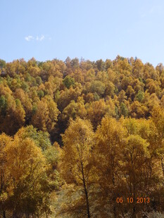 秋日山林斑斓美景