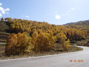 秋日山间公路风景