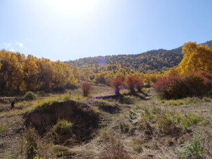 秋日山野多彩风光