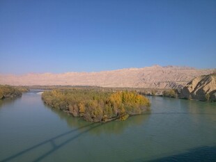 宁静湖泊中的小岛风光