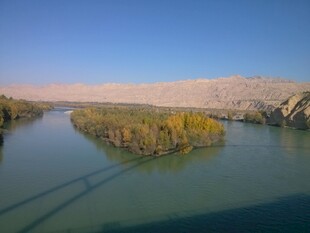 河畔秋景 宁静自然风光