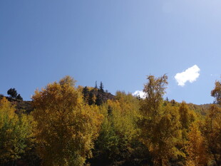 秋日山林蓝天美景