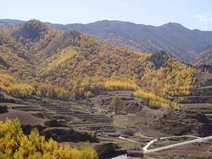 秋日山间梯田美景