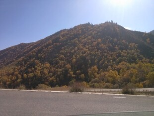 秋日公路旁的斑斓山峦