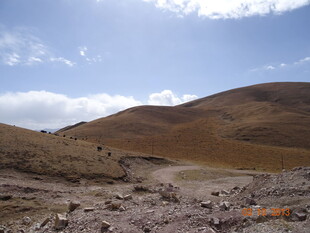 荒凉山地景观图