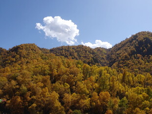 秋日山林蓝天美景