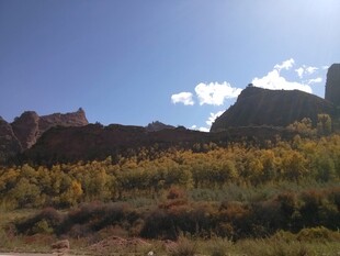 山间美景 阳光照耀花草