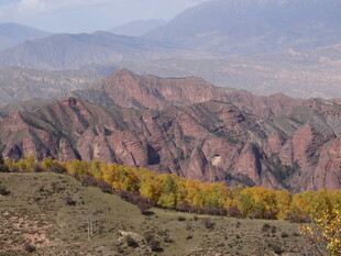 壮丽山景与秋日植被