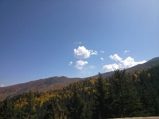 山间蓝天绿树美景