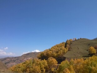 秋日山坡美景