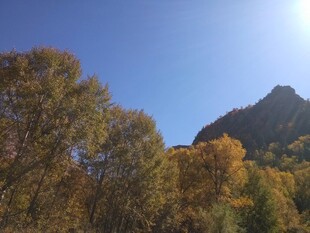 秋日山林与巍峨山峰