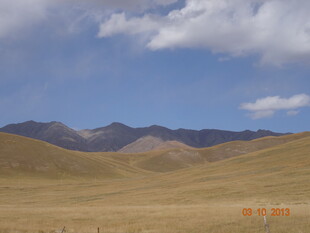 广袤草原与远处山峦
