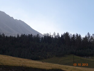 山间草地与茂密树林景观