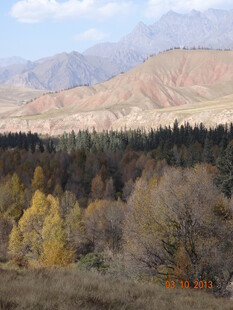 秋日山林与远处山峦景色