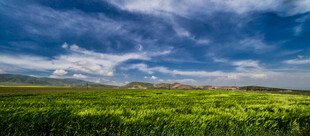 广袤绿野上的蓝天白云