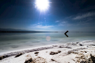 海边日出美景 飞鸟掠过