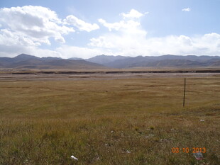 广袤草原与远处山峦风光