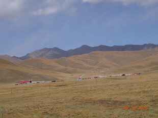 广袤草原与远处山峦景观