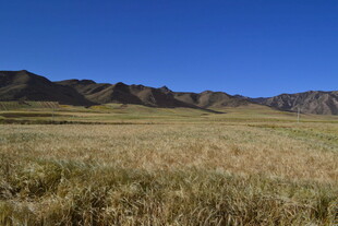 广袤草原与远处山峦