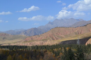 秋日山林与远处山峦美景