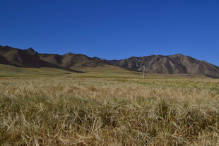 广袤草原与远处山峦